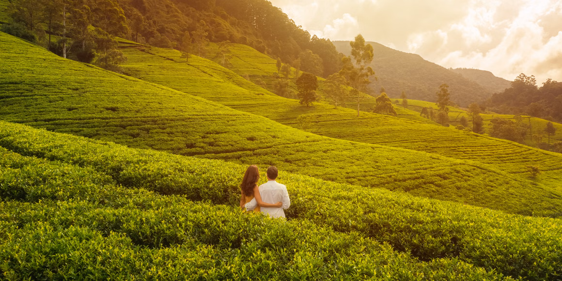 Kerala Romantic Honeymoon Houseboat
